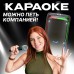 Акустическая система 10" ELTRONIC (30-26 DANCE BOX 1200), TWS, динамик 2шт/10", цвет черный